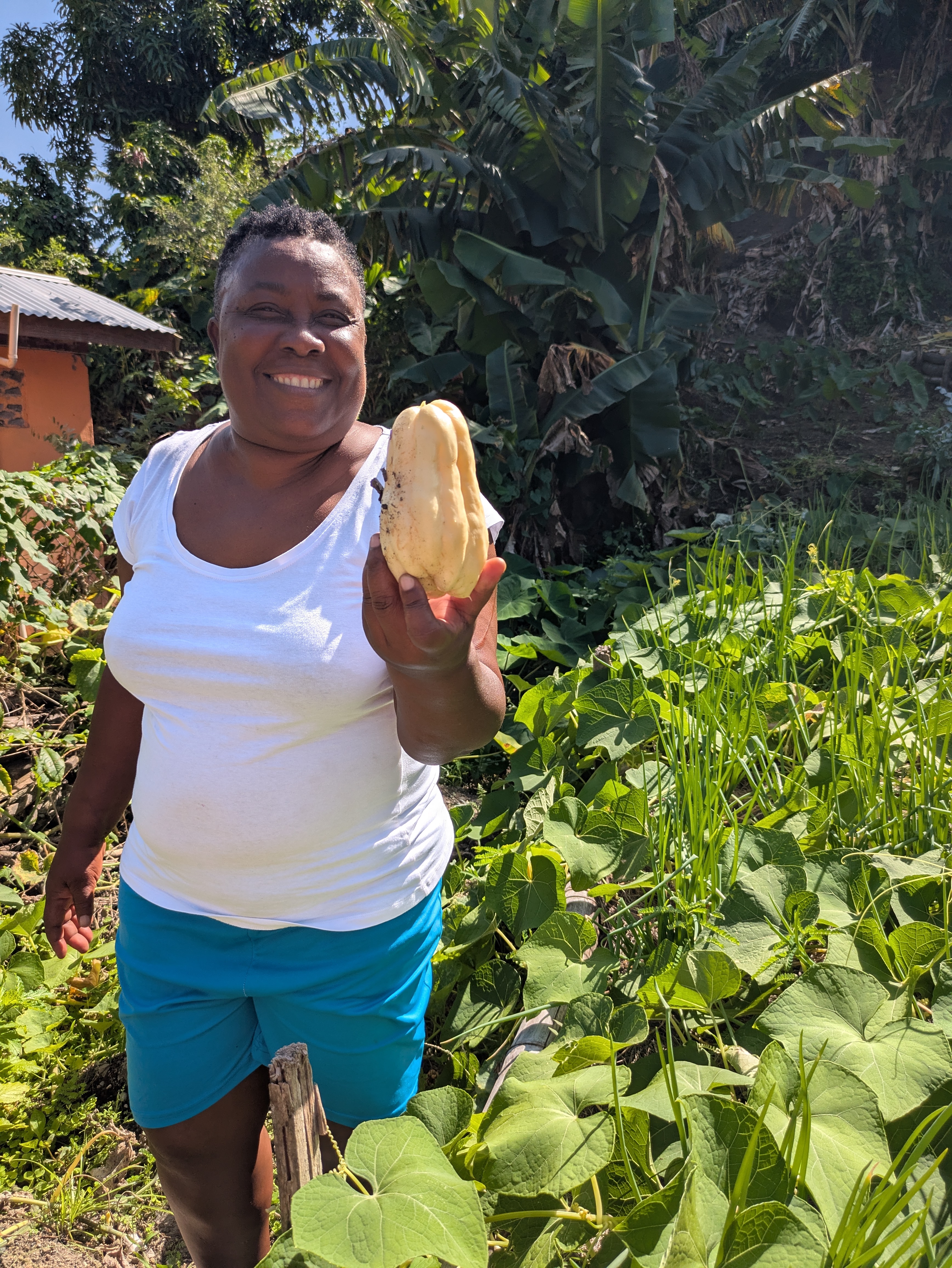 FarmVisit2 - Participant Valerie at her farm in Chateaubelair, showing her Christophene